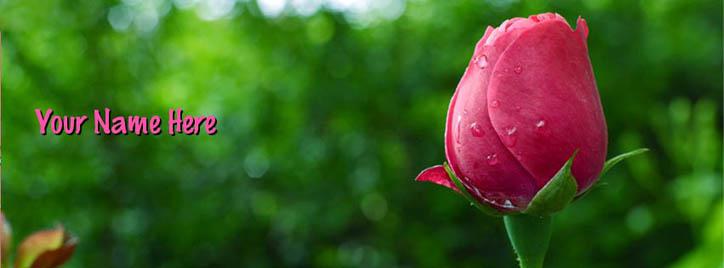 Beautiful Rose Facebook Cover With Name