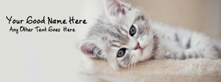 Sad Cat Facebook Cover With Name