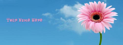 Beautiful Pink Flower FB Cover With Name 