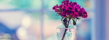 Beautiful Flowers fb Cover Photos