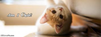Cute Pets Photos Cover For Facebook Timeline
