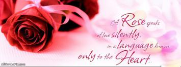 Cute Lovely Quote Facebook Cover Photos
