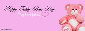 Cute Teddy Day 2014 FB Timeline Covers