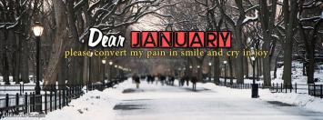 Happy January Facebook Cover Photos
