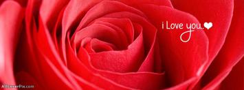 Love You Facebook Flowers Cover Photos