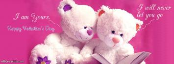 Lovely Teddy Couple Valentines Day Covers