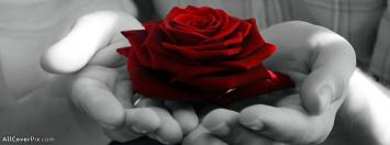 Red Rose In Hand For You