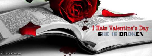 I Hate Valentines Day 2014 FB Covers -  Facebook Covers