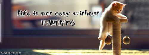 So Cute Cat Facebook Cover Photo With Quote -  Facebook Covers